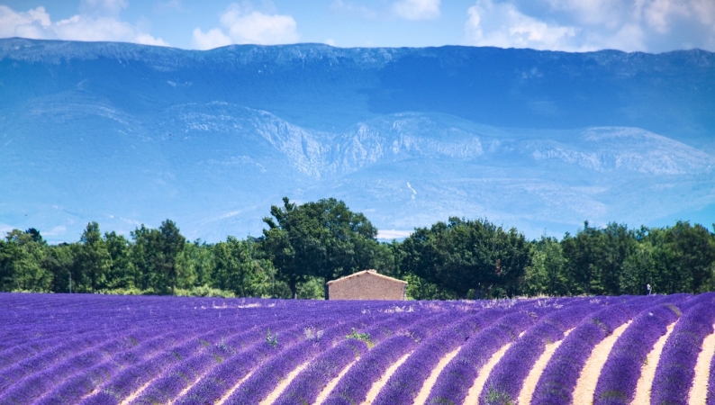 Pasqua in Provenza dal 28/03 al 02/04 2024 I Nostri Viaggi